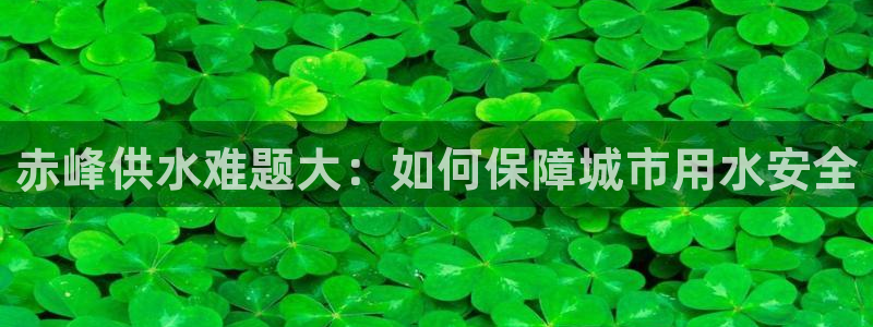 QY球友会官网