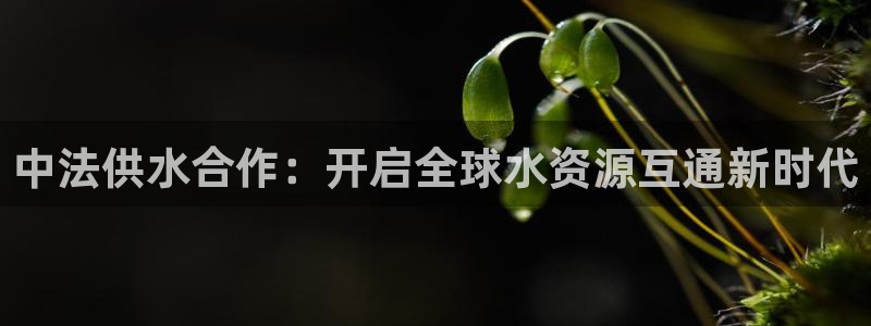 球友会在线登录账号吗