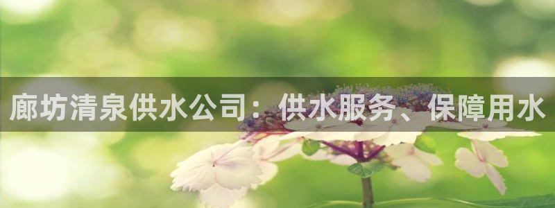 球友会是什么