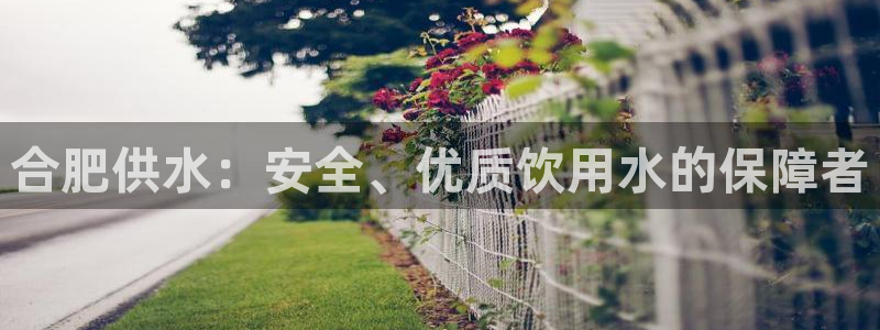 球友会是不是大平台
