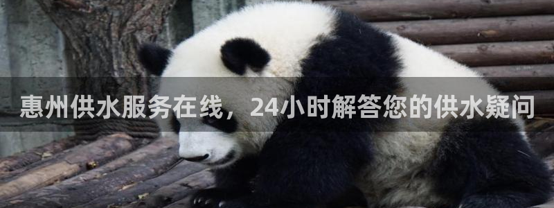 球友会提款不到账