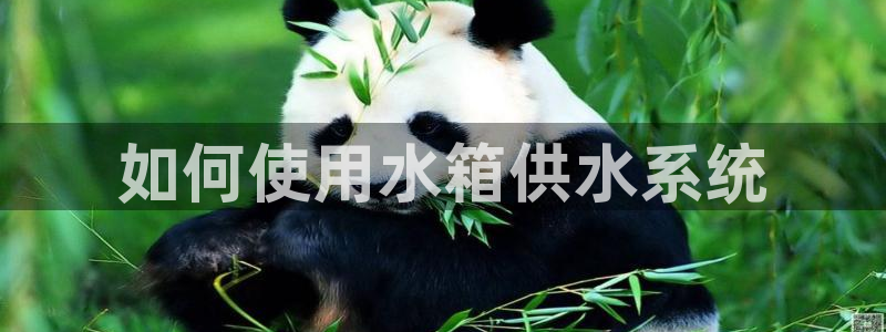 球友会提款审核