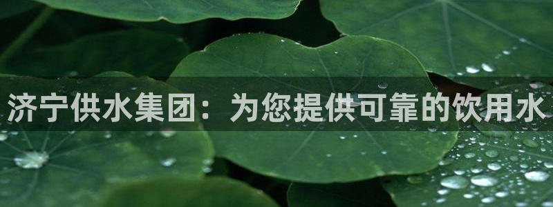 球友会app官网下载安装