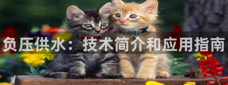 球友会官网入口在哪里