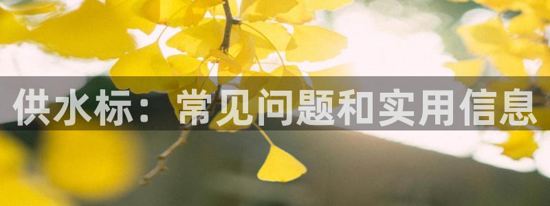 球友会曼联赛事