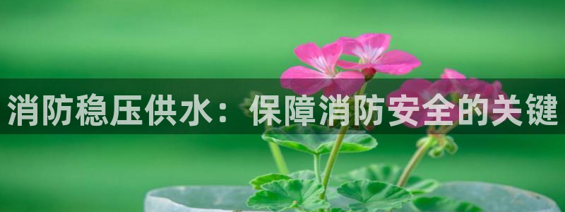 qy球友会体育官方平台