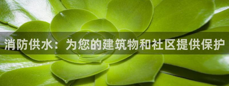 球友会登录网站