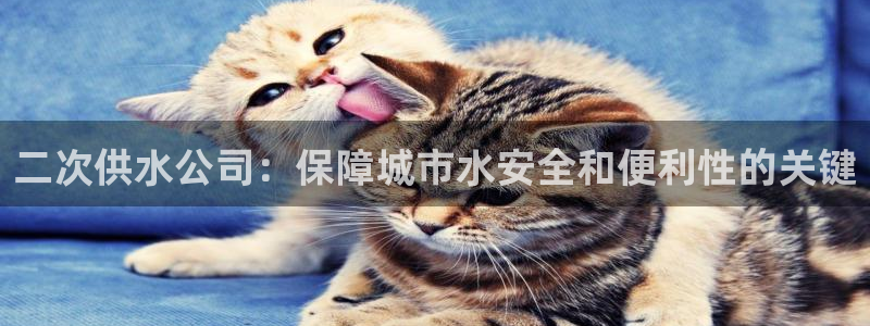 球友会app官网下载安装