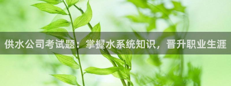 球友会比赛结果查询