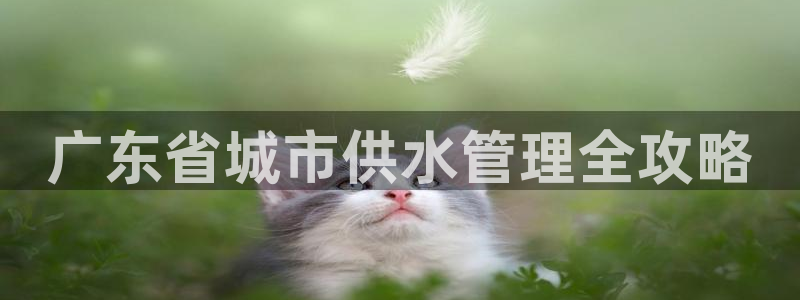 QY球友会体育官网