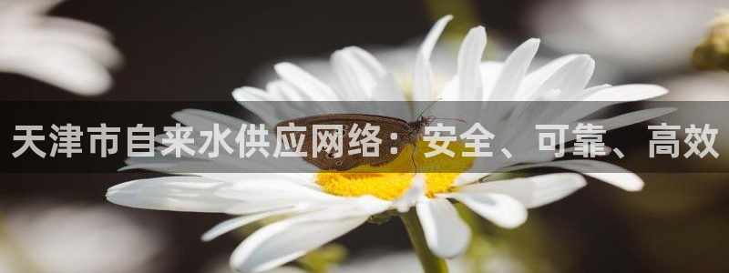 球友会体育app下载官网