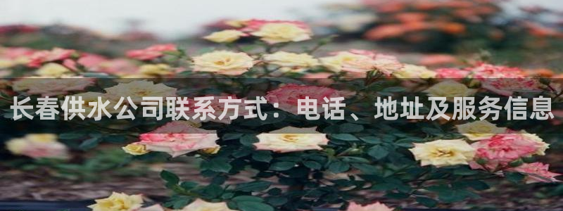 球友会体育app下载安卓最新版