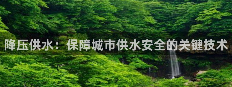 qy球友会体育