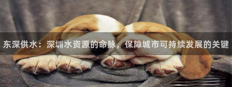 球友会登陆