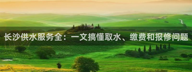 球友会QY