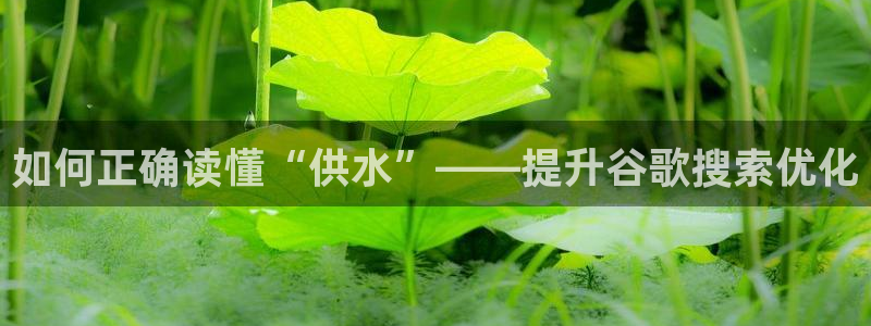 球友会赛程