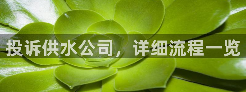 球友会官网下载