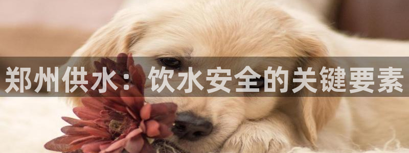 球友会能提现吗