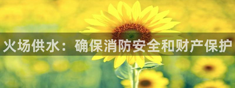 球友会是什么