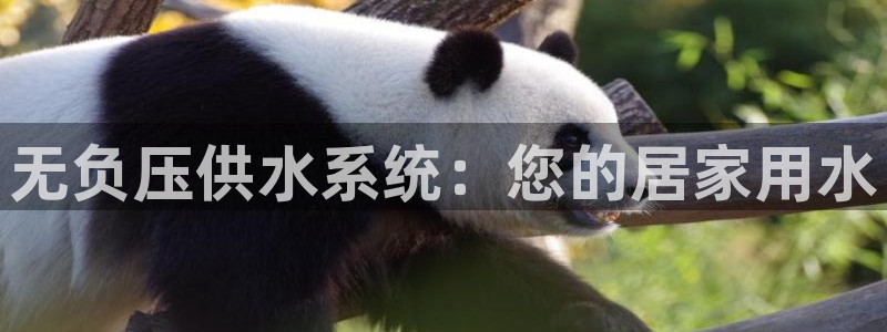 球友会QY