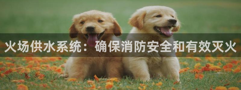 qy球友会体育怎么样