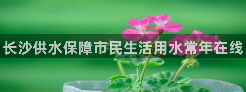 qy球友会体育