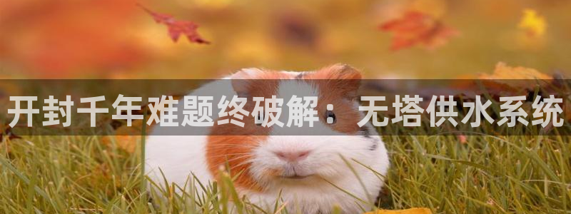 球友会APP