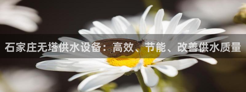 qy球友会体育官网下载