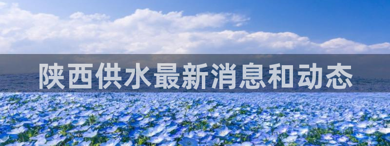 球友会体育app下载安卓版