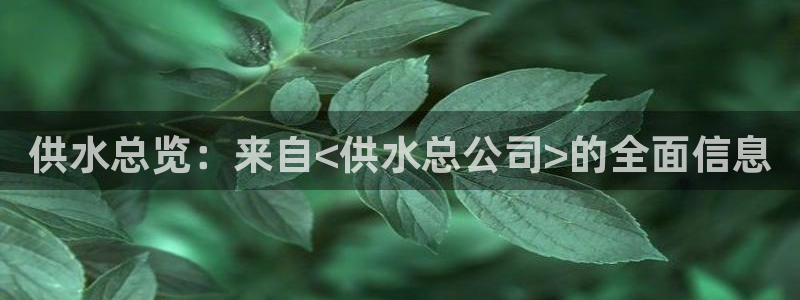 球友会提款审核中