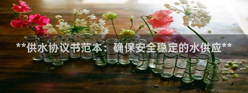 qy球友会体育(中国)官方网站