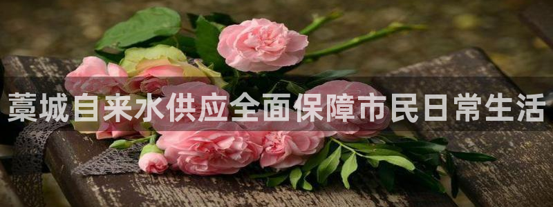 qy球友会体育怎么样