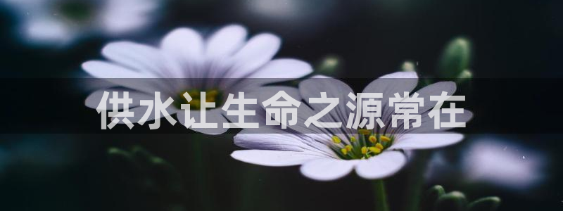 球友会骂客服封号