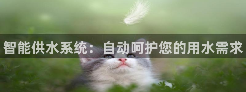 球友会体育app官方版下载安装苹果手机