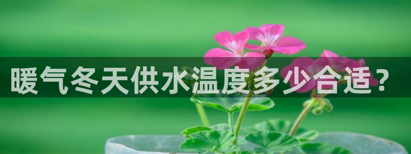 球友会官网入口网址