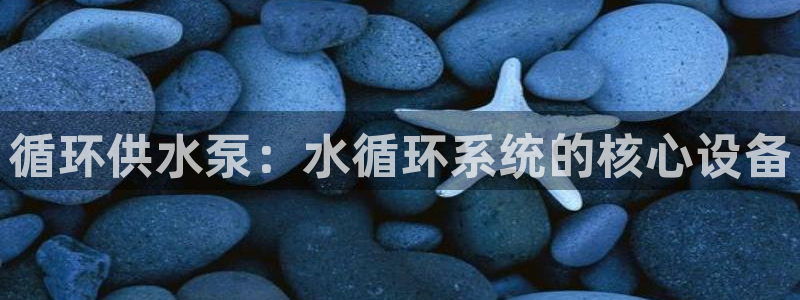 球友会app官网下载苹果