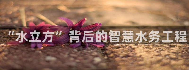 球友会体育app下载安卓