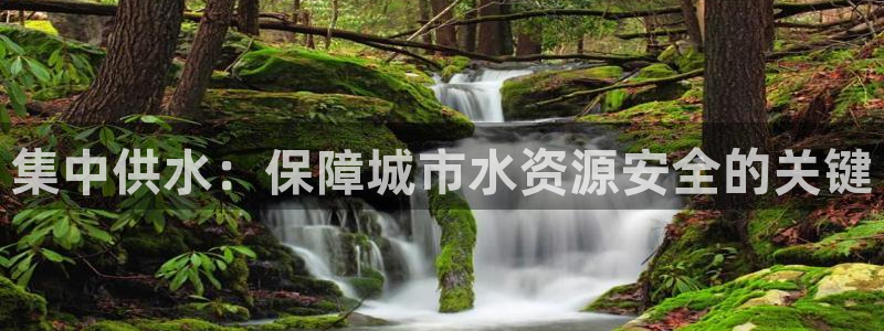 球友会app干啥的