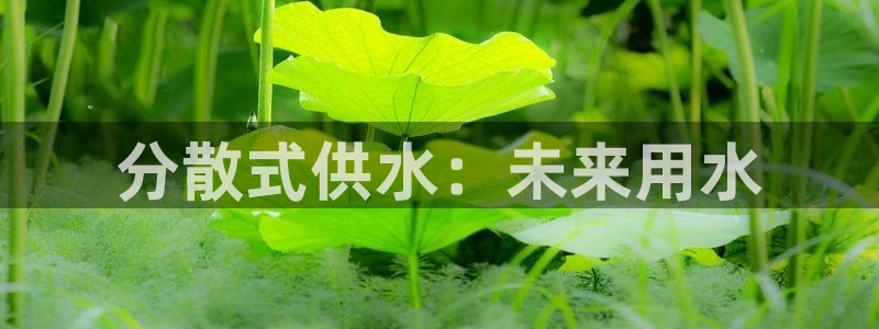 球友会APP