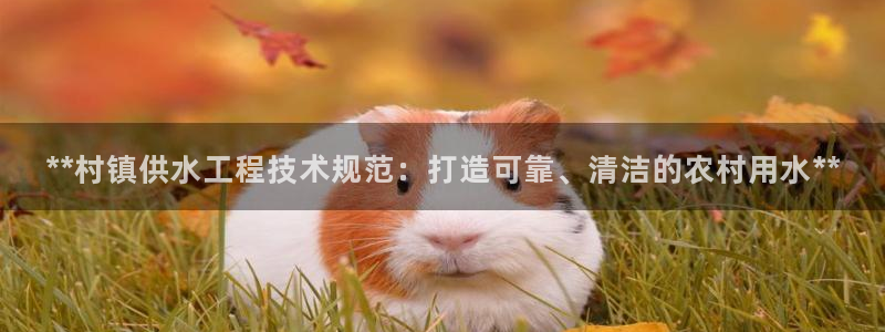 球友会怎么样