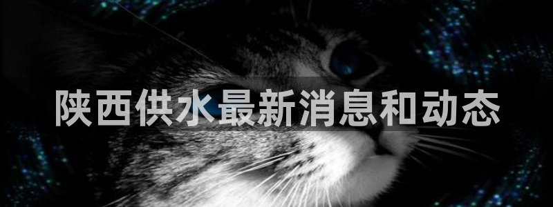 球友会比赛结果查询