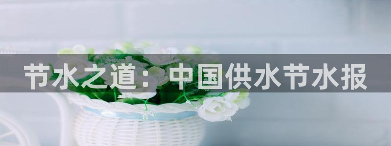 球友会提现不到账