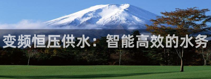 关键词