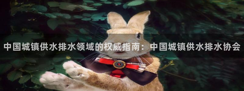 球友会联赛