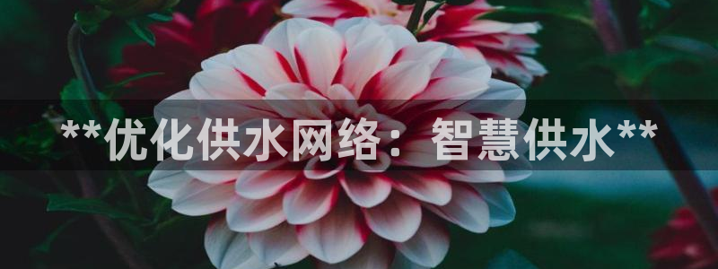 球友会开户礼金在哪领