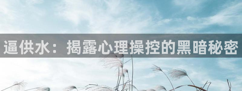 球友会qy