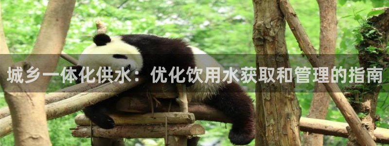 球友会体育app下载官网苹果