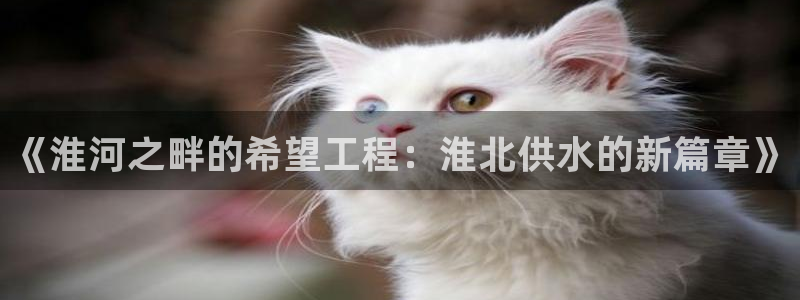 球友会qyh