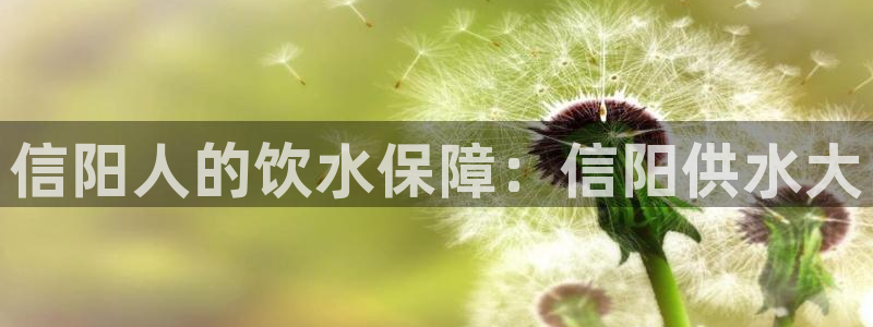 球友会登录不上的原因