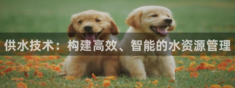 球友会首页